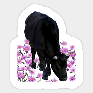 Angus & Asters Sticker